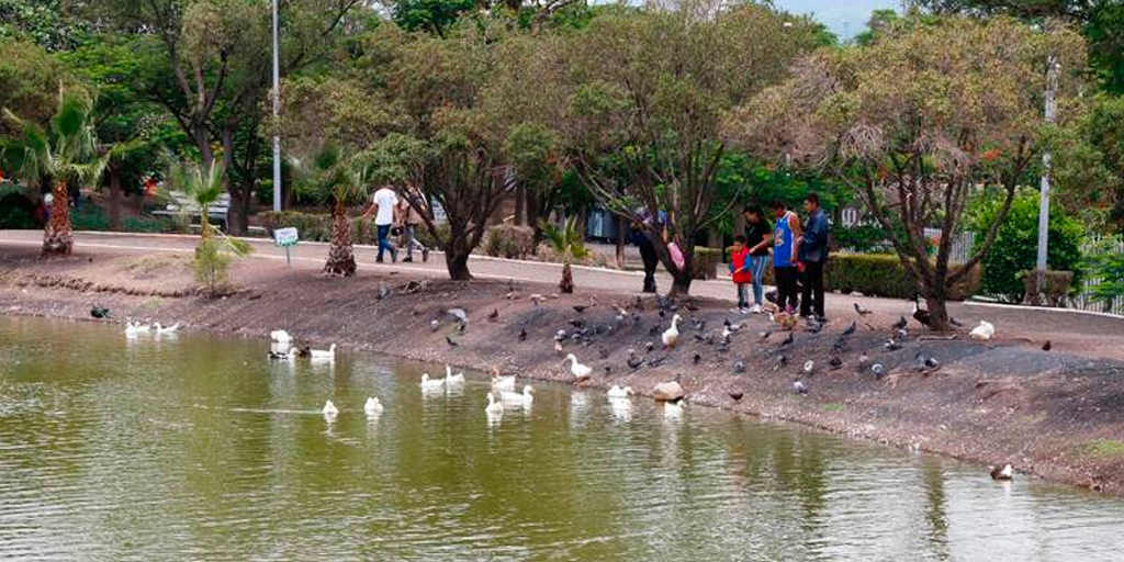 Avión de Papel, Lifestyle, Viajes, Semana Santa, Destinos, Parque La Queretana, Naturaleza, Familia, Diversión, Bicicleta, Kayak 